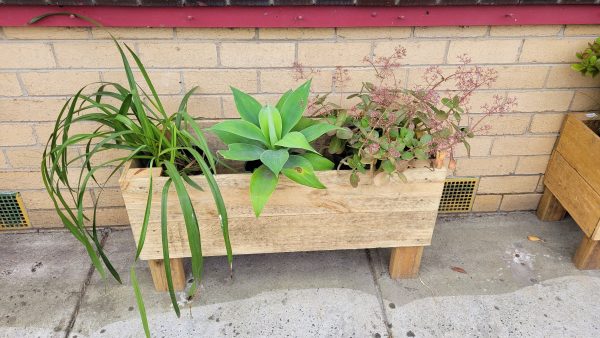 Standard Treated Pine Pot Planter Box 89cmx30cm - Image 2