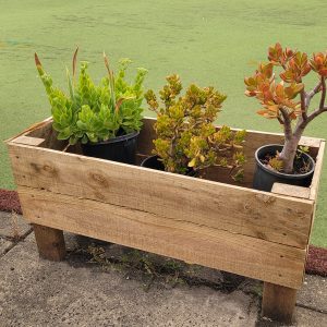 treated pine planter box with plant pots in it