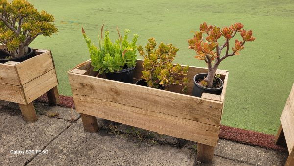 treated pine planter box with plant pots in it