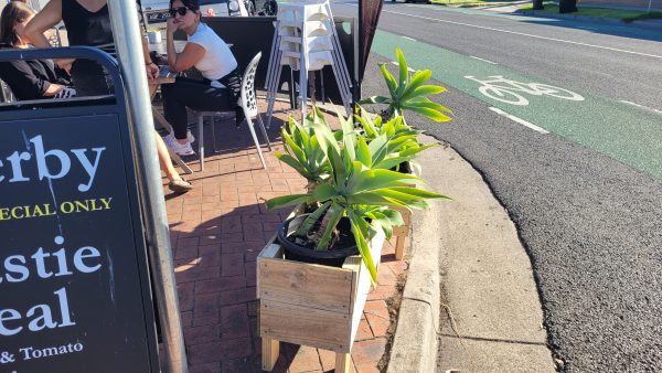 Standard Treated Pine Pot Planter Box 89cmx30cm - Image 6